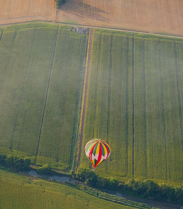 Hot air balloon in the middle of a field