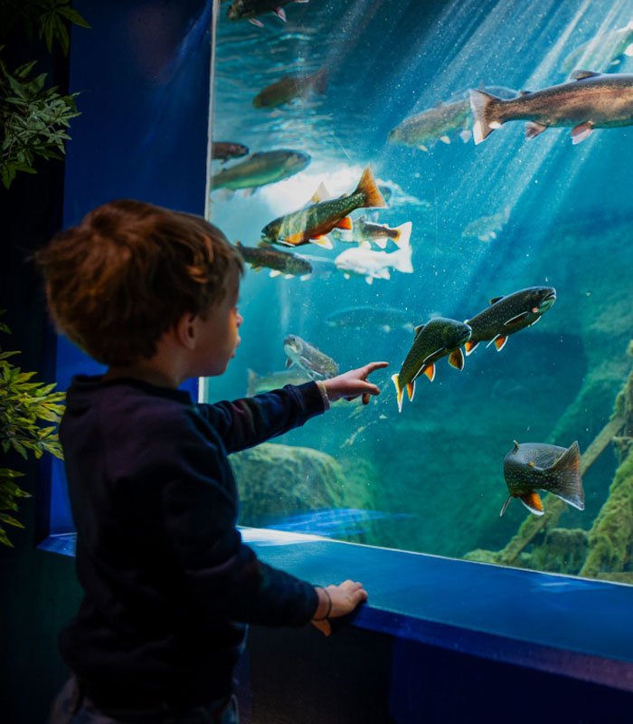 Aquarium de Touraine