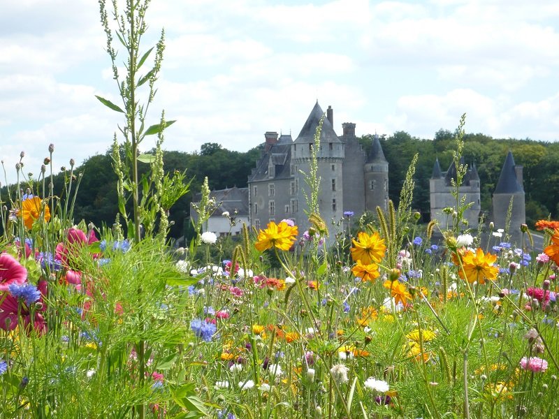 Château de Montpoupon