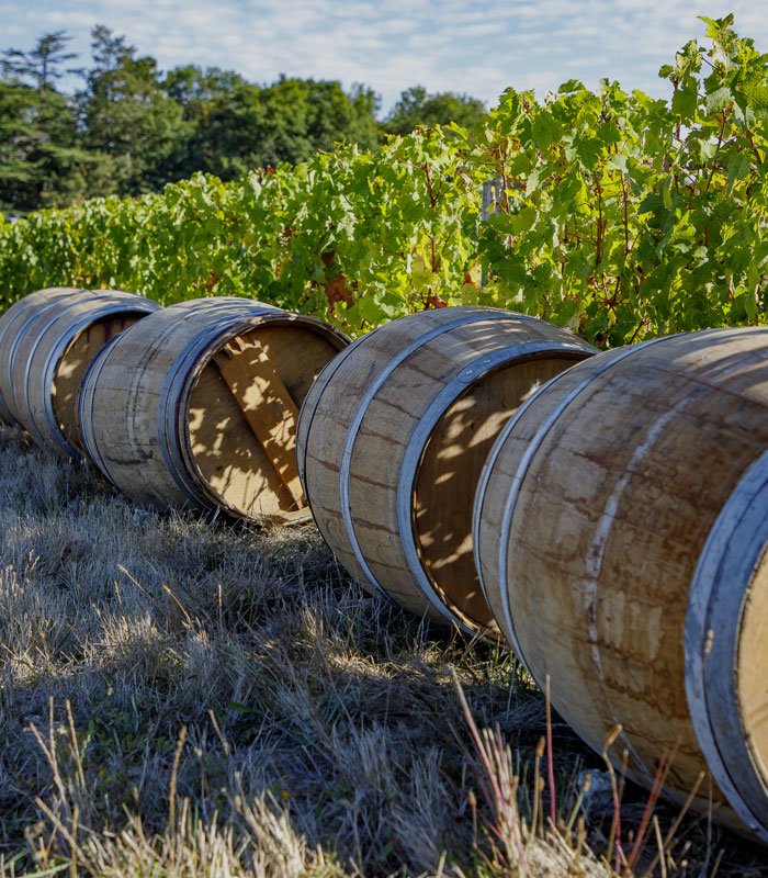 Vins du Val de Loire