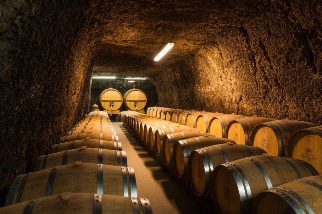 Cave troglo au Plou et Fils à Chargé