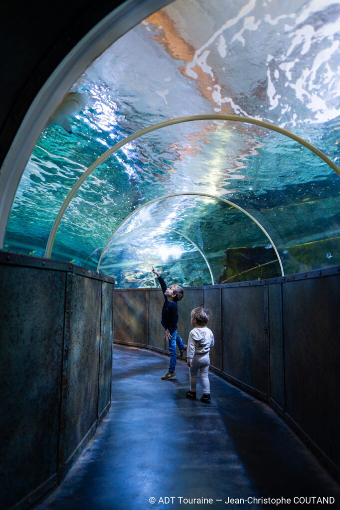 Touraine aquarium