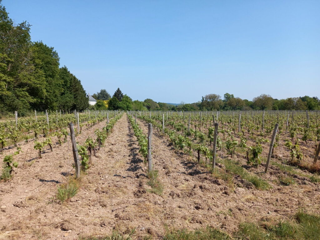 Clos de la Richardière