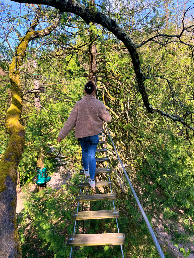 Tenir en équilibre sur ne passerelle dans les arbres