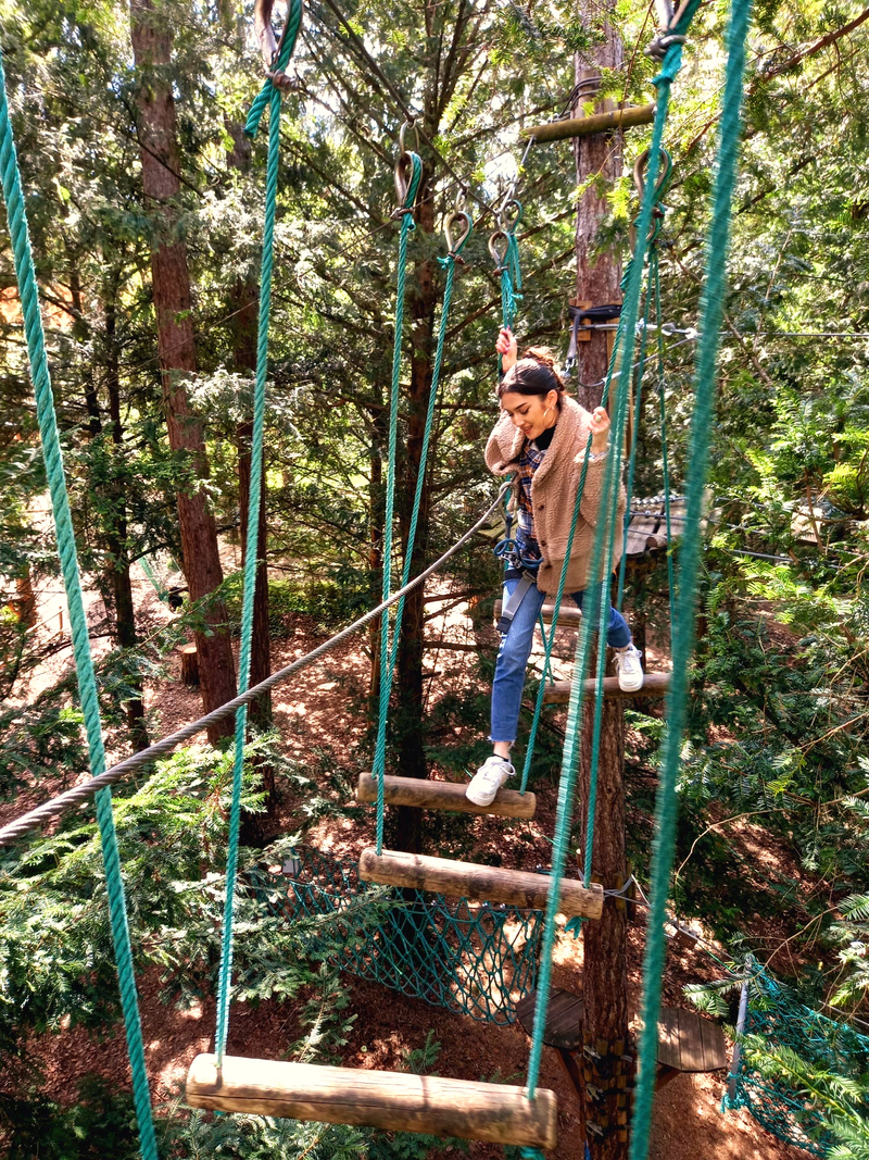 Discovering a tree-top adventure course