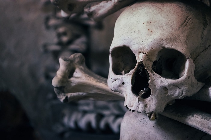 halloween tour in Amboise