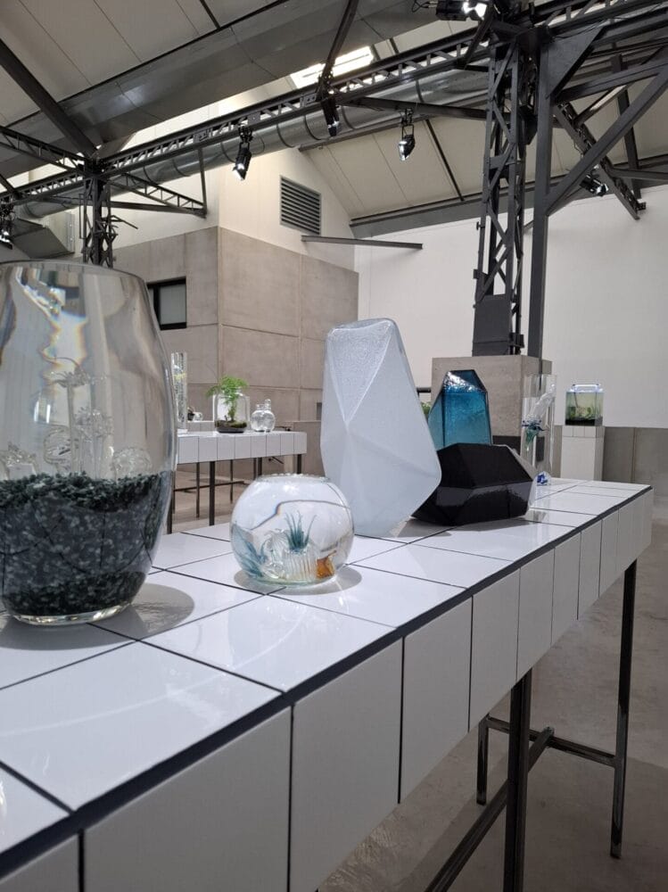A collection of glass artworks for Anais Dunn's exhibition at the Garage