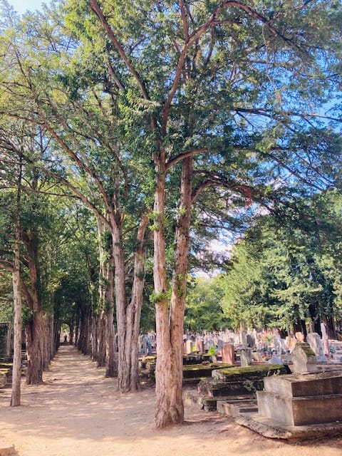 Cemetario de las Ursulinas en Amboise