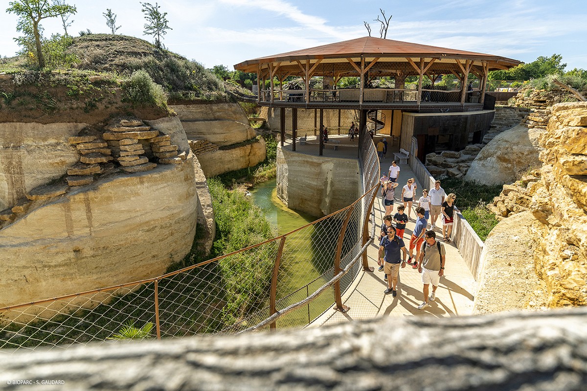 2-Cratere carnivores © Bioparc - S.Gaudard