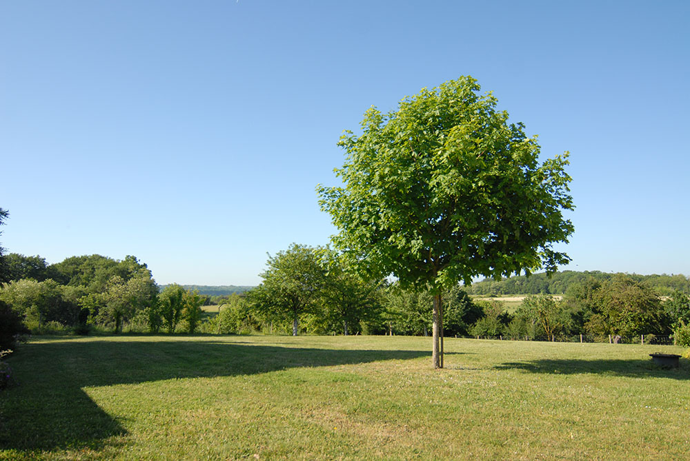Gîte de la Touche_3