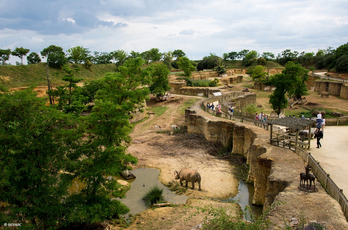 6-Vallee des rhinoceros © Bioparc
