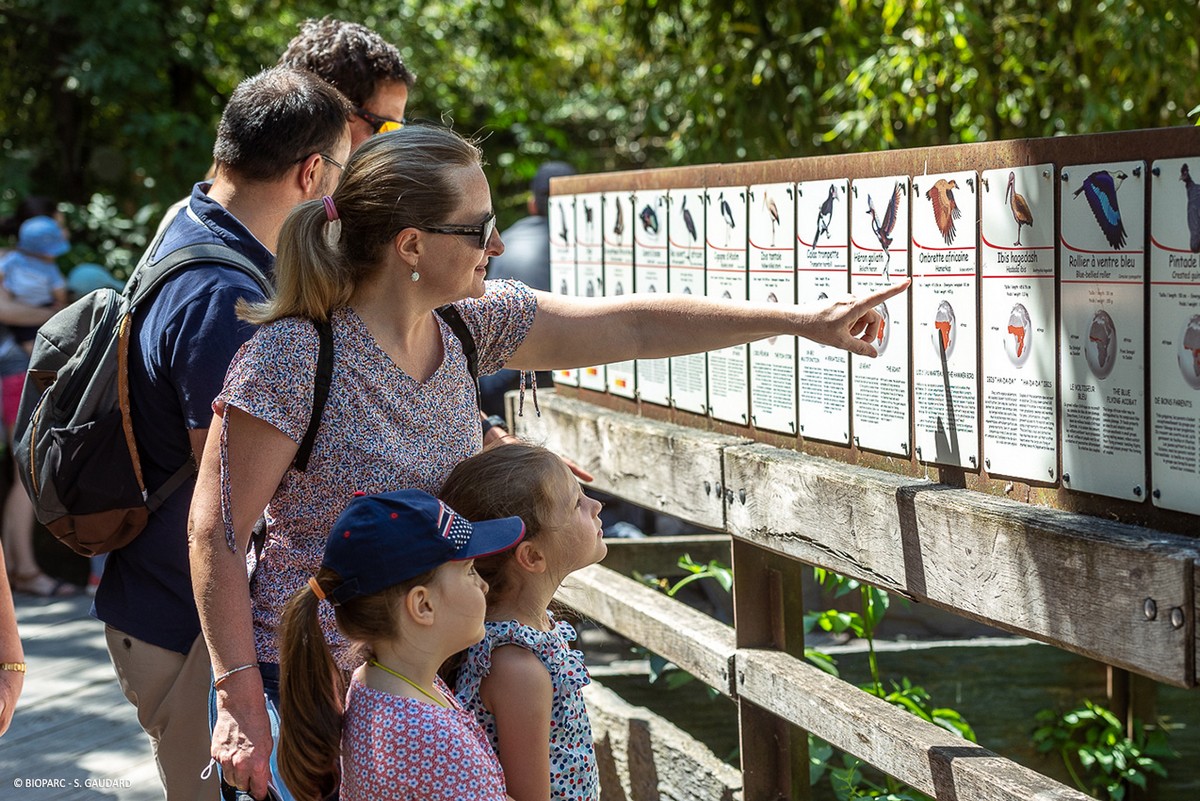 7-Public © Bioparc - S.Gaudard
