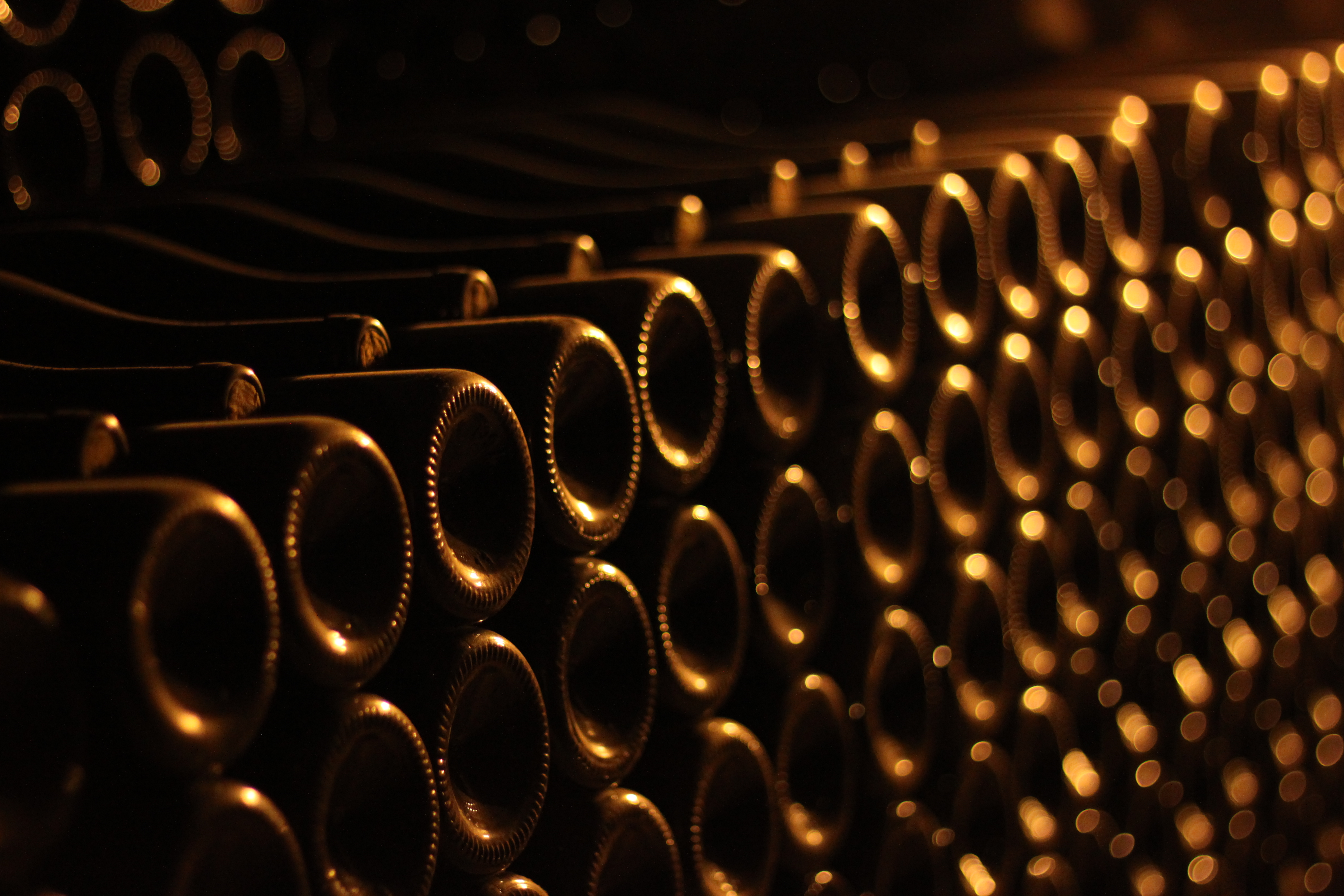 Bonnigal-Bodet-Vignerons--4-
