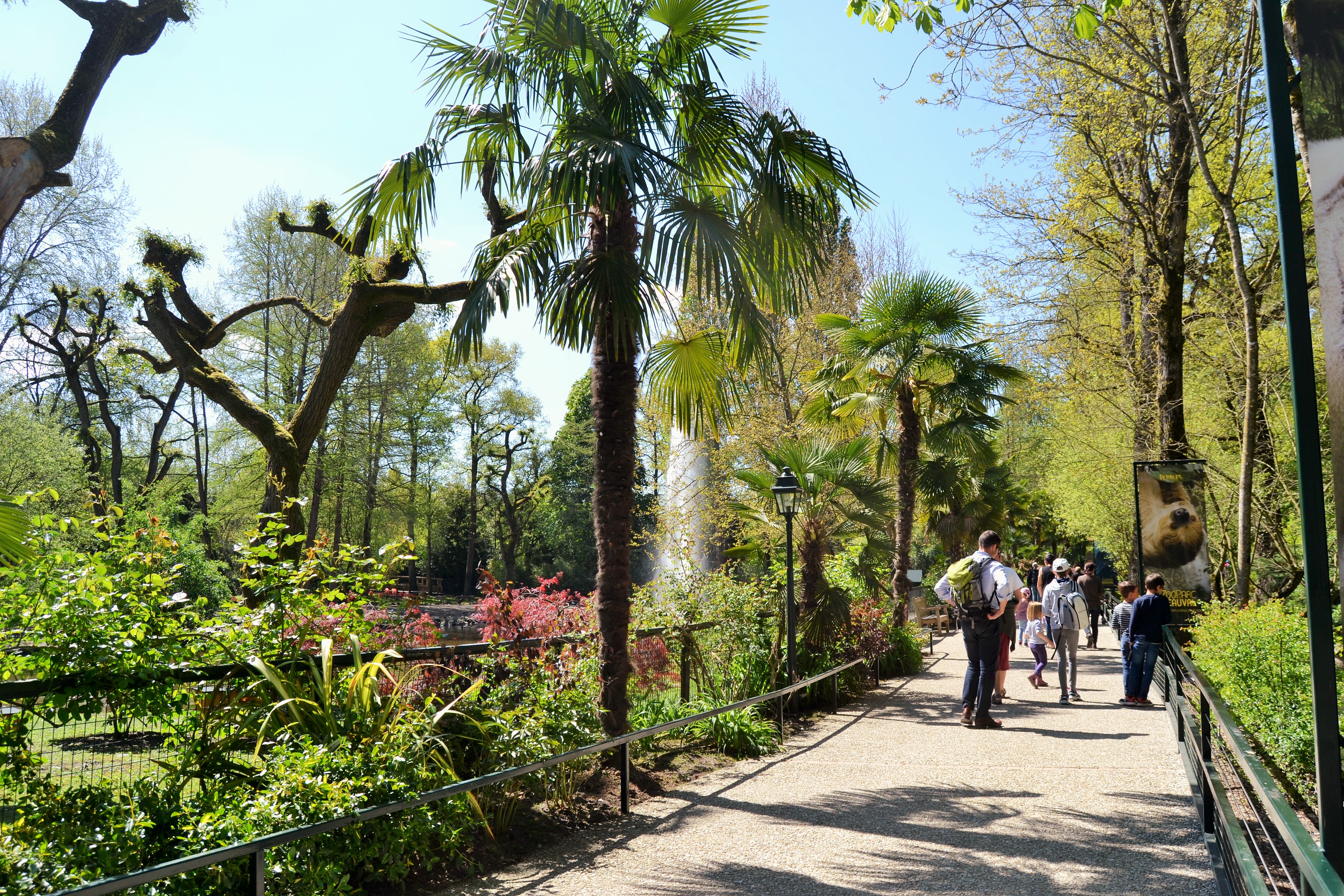 Entree-ZooParc-de-Beauval