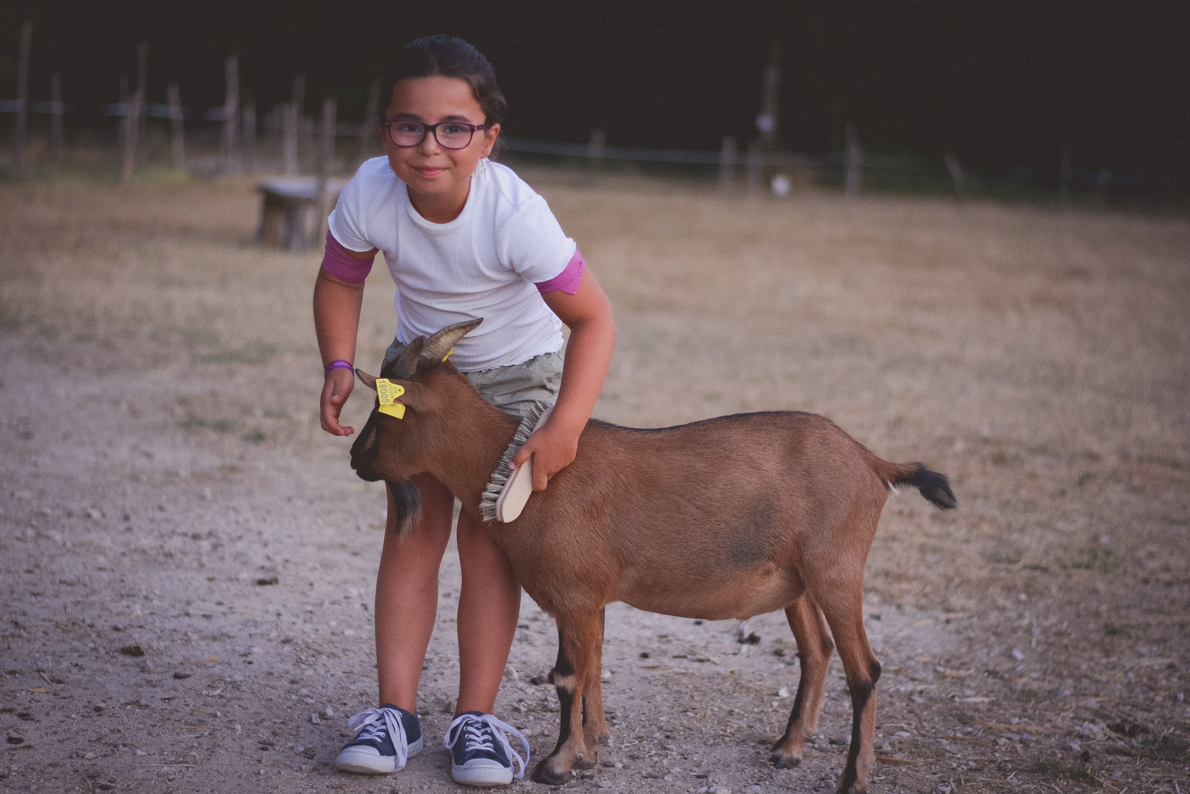 animaux ferme pedagogique nature