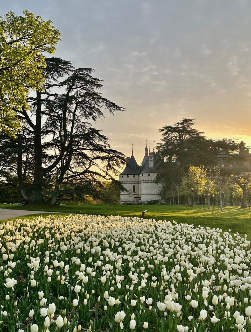 Domaine de Chaumont-sur-Loire_Château vu du Parc historique 3©Eric Sander