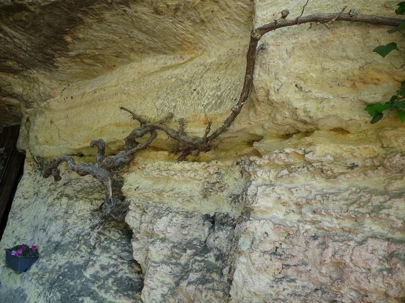 Domaine du Breuil (15)