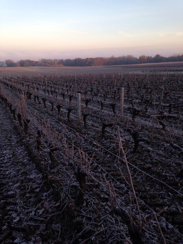 Domaine du Breuil (17)