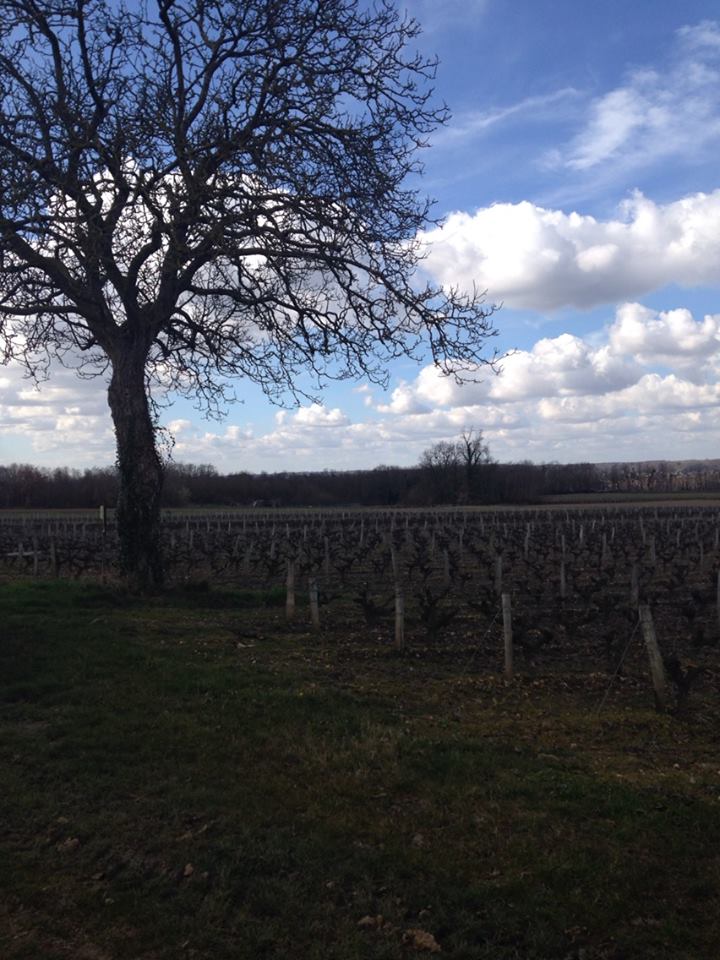 Domaine du Breuil (18)