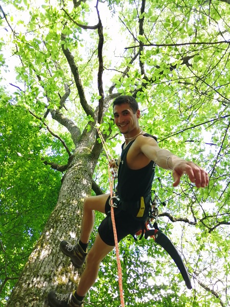 GRIMPE_D_ARBRE_2