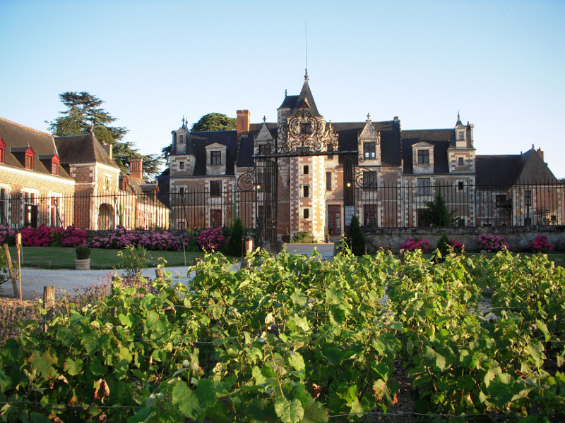 Château de Jallanges - Vernou-sur-Brenne