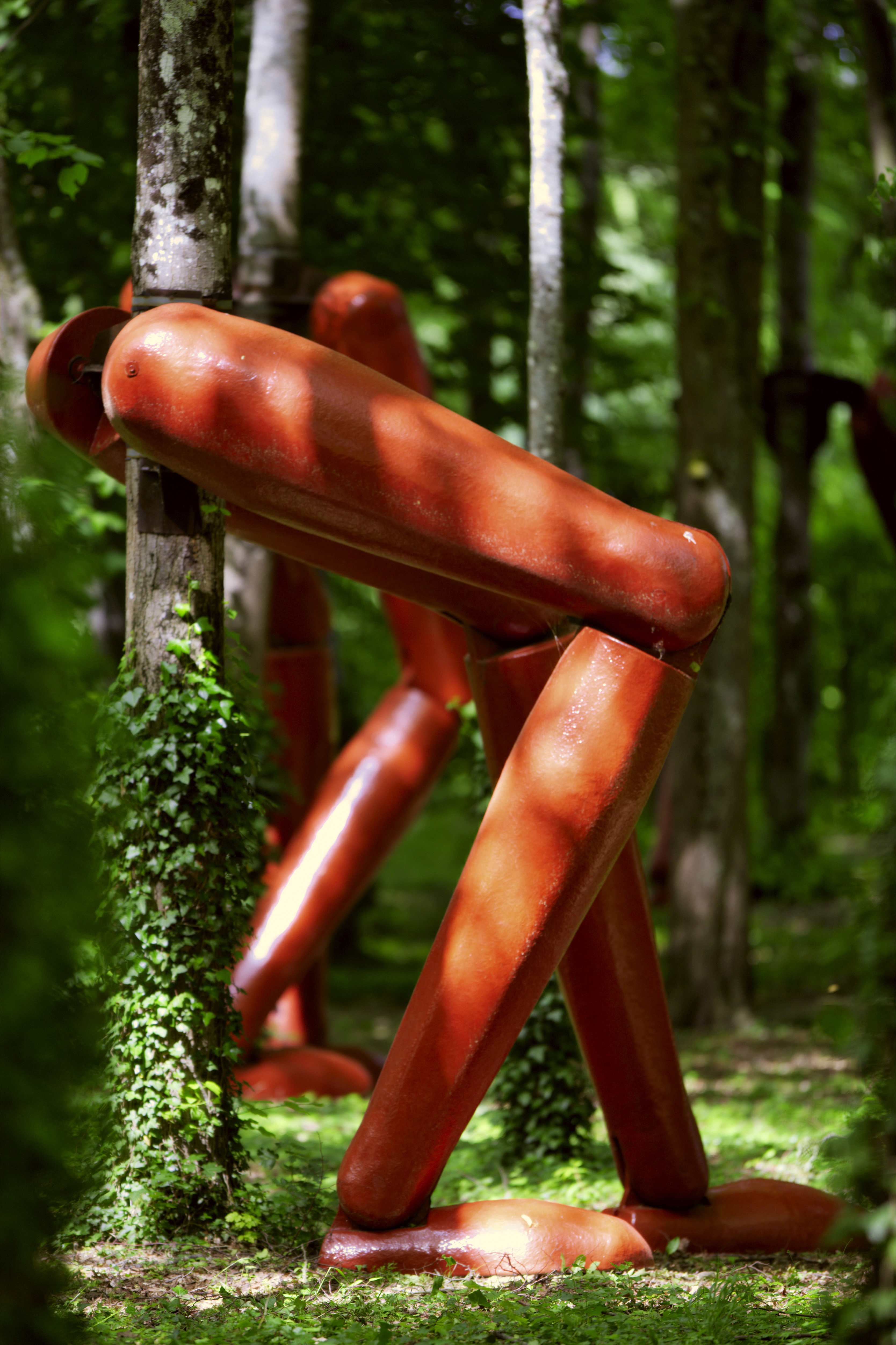 La foret qui courtBasserode©chateaudurIvaujpg