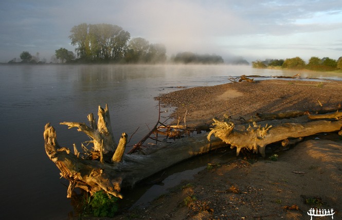 Loire Aventure Canoës