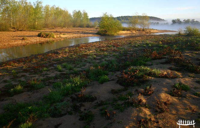 Loire Aventure Canoës