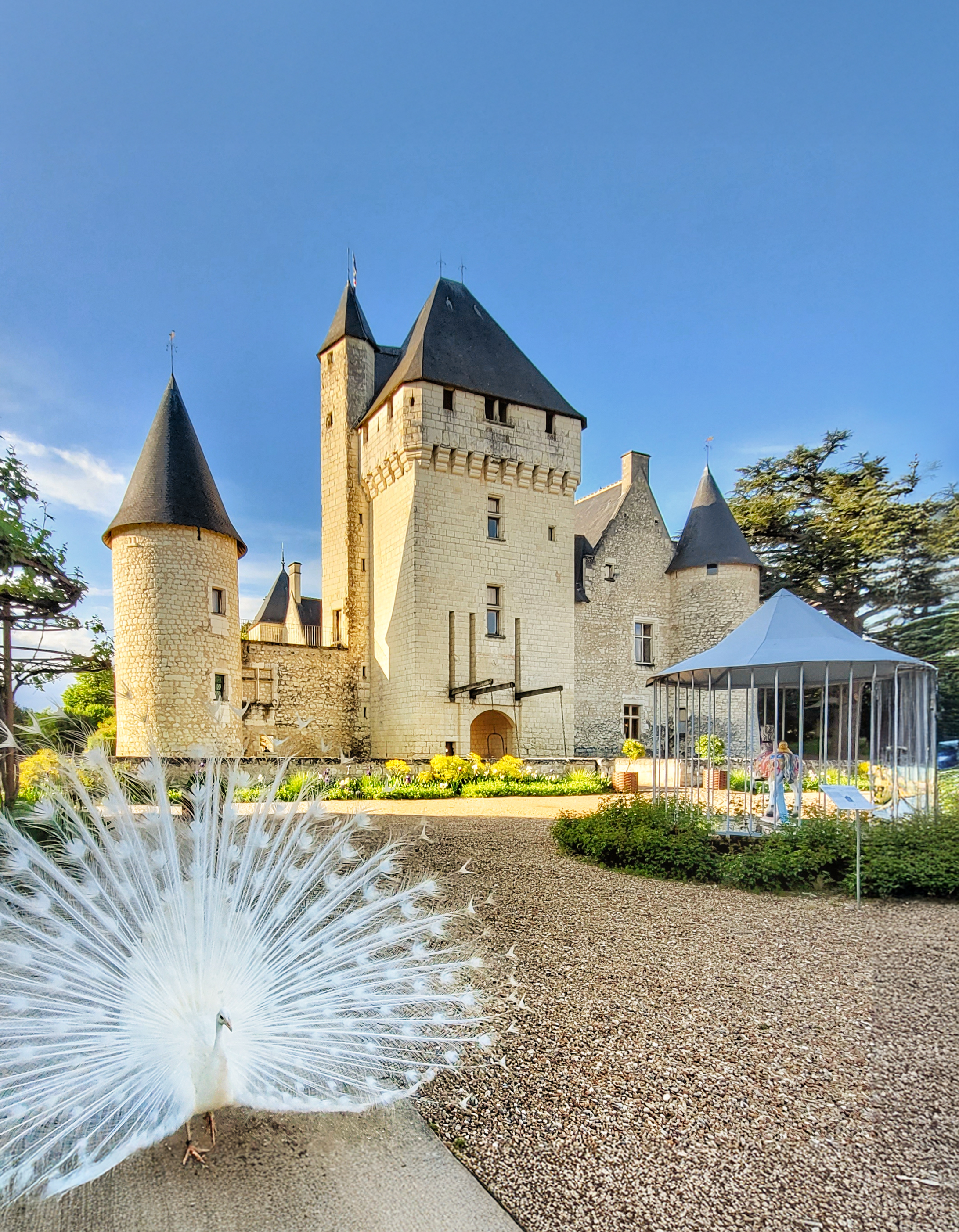 PaonblancRivau©chateaudurivau