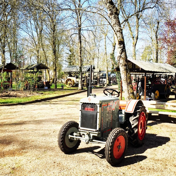 Parc du musée Maurice Dufresne - Azay-le-Rideau, France.