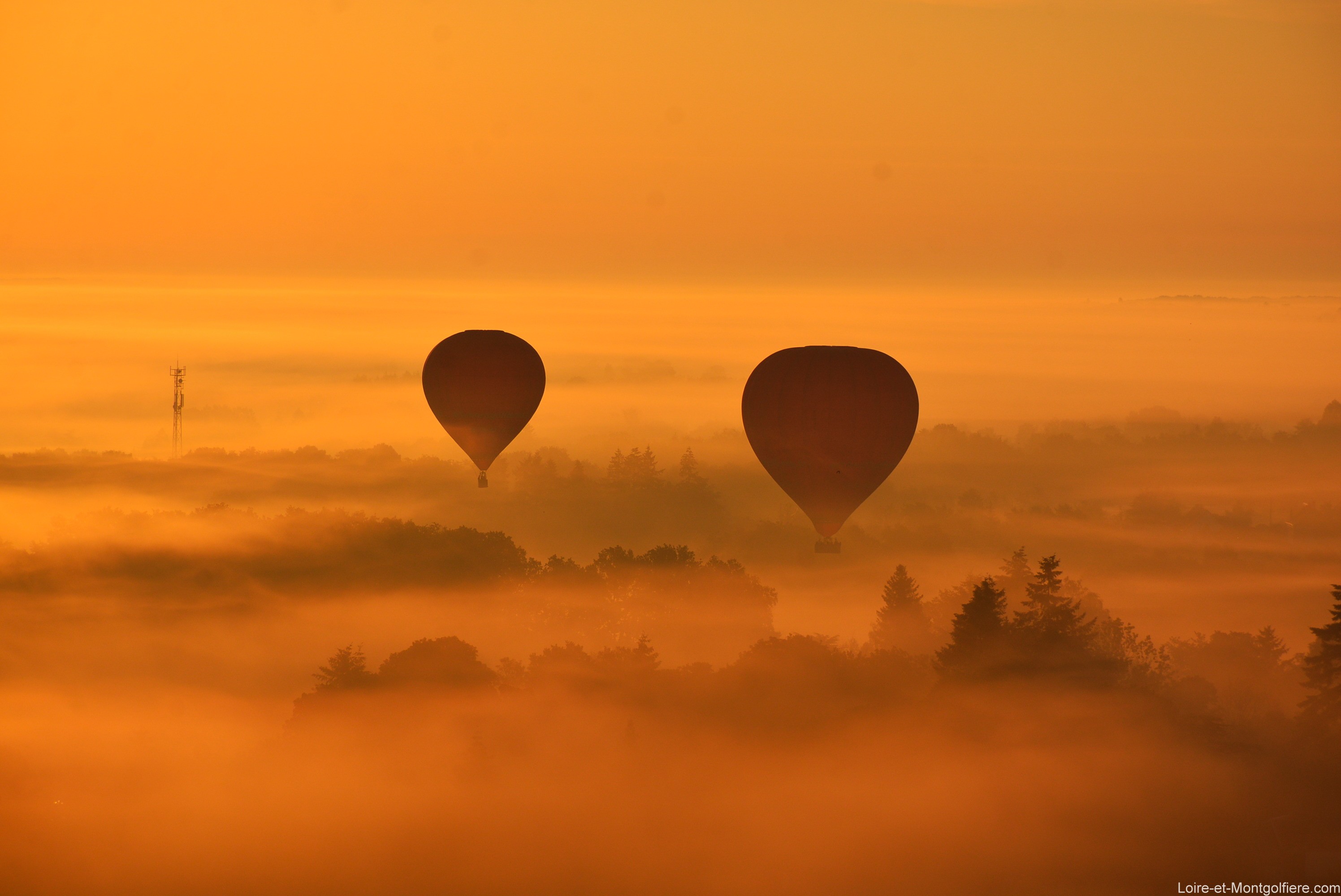 Touraine Terre dEnvol - Loire et Montgolfiere - lever du soleil