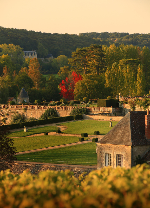 Vendanges-au-Chateau-de-Valmer-Leonard-de-Serres-paysage