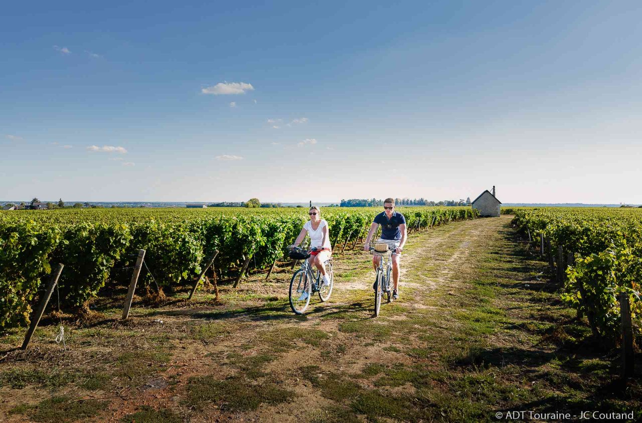 Vigne velo Vouvray Credit ADT Touraine Jc Coutand