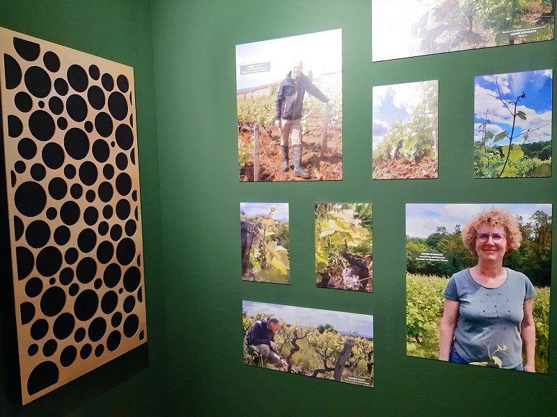 Cave de Vouvray - Espace de médiation