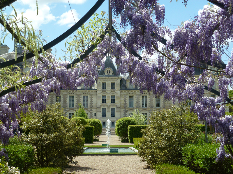 chateau-cheverny