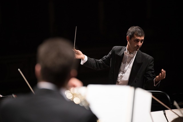 chef d'orchestre_Pixabay