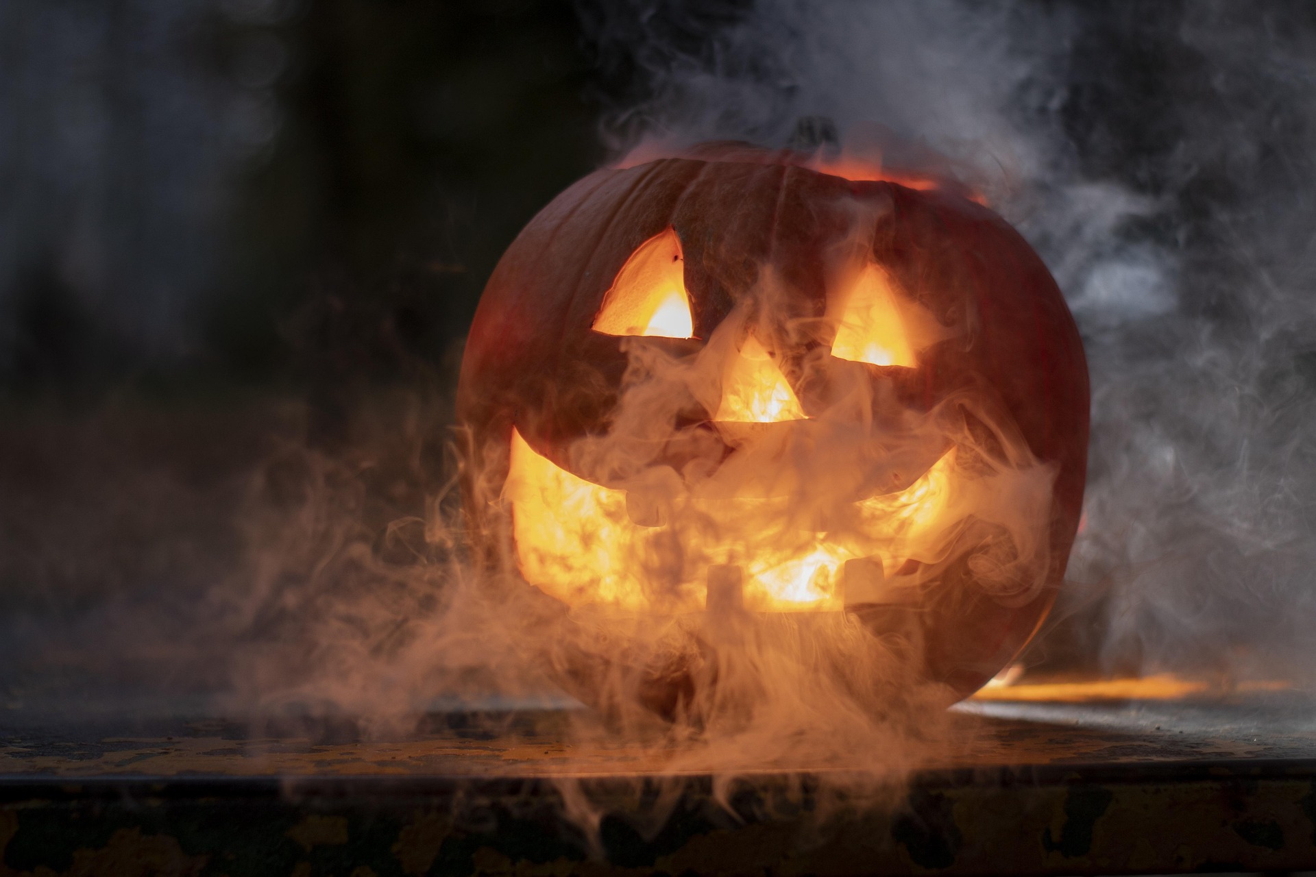 citrouille halloween