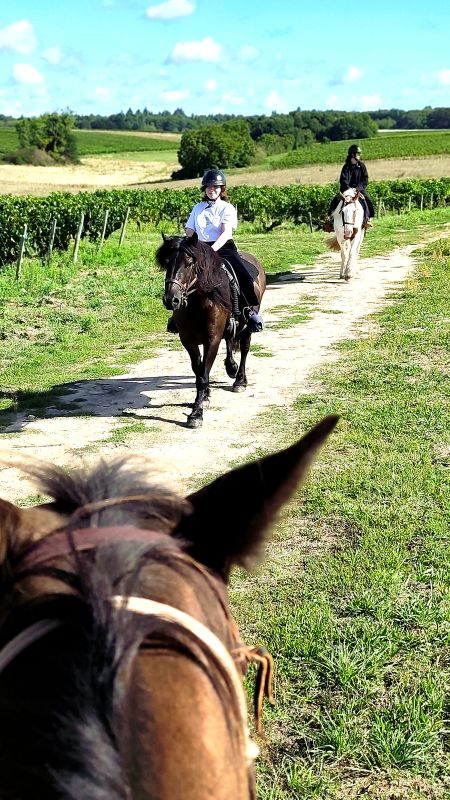 Horse journey - Balade dans les vignes - Saint-Martin-le-Beau