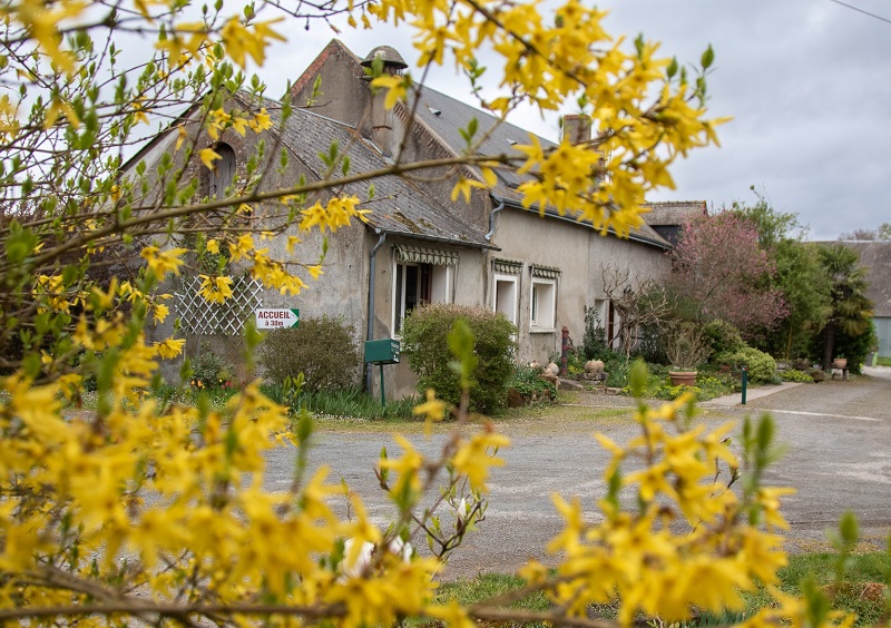 les_grillons_1