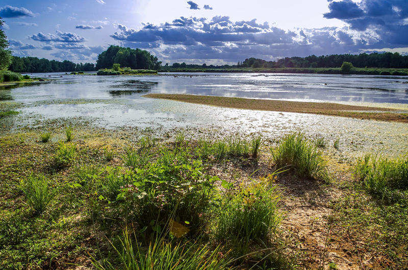loire-©MDL37