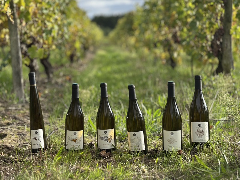 Maison Laudacius - Vins - Montlouis-sur-Loire