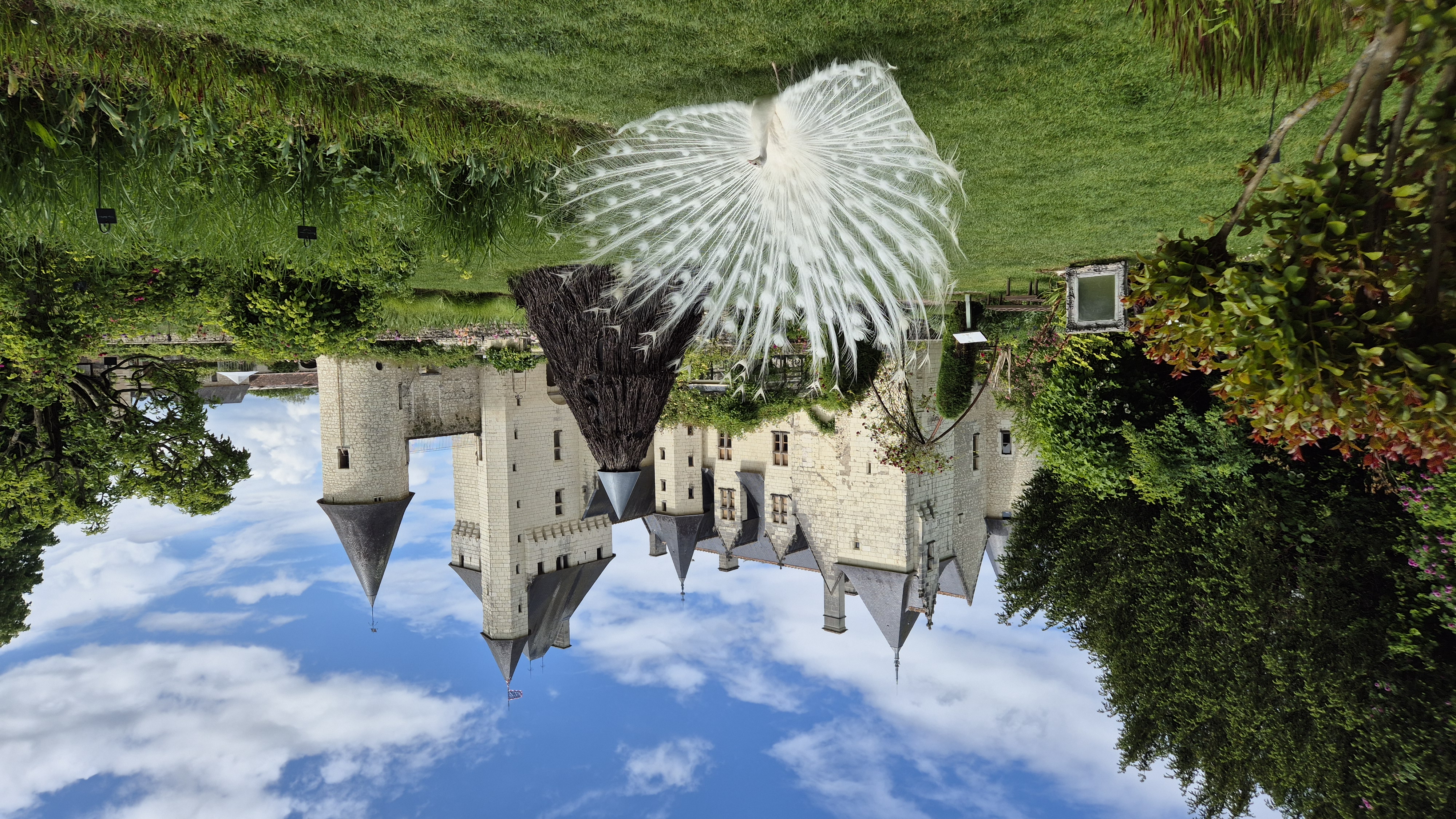 paonduRivau©chateaudurivau