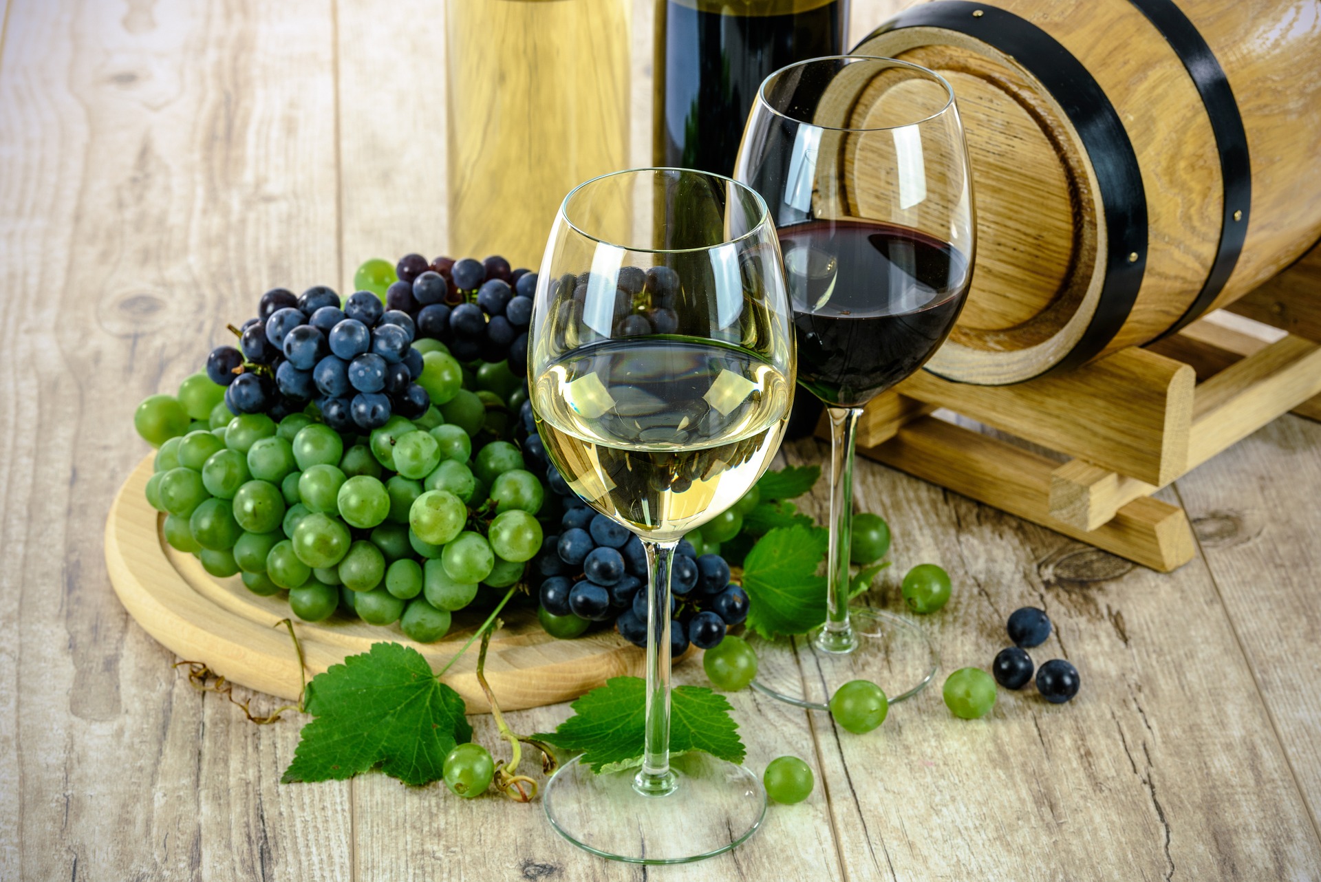 vignoble_pixabay