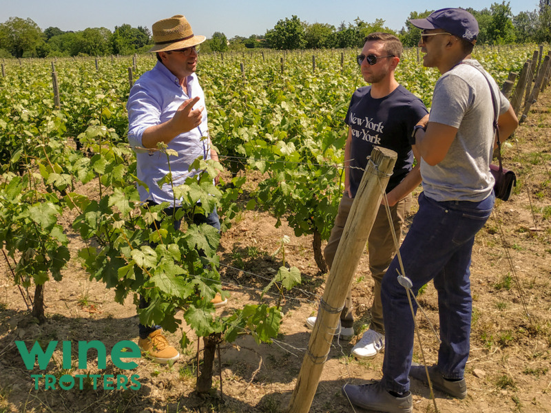 wine-TROTTERS_private-wine-tour_Loire-Valley_11-logo