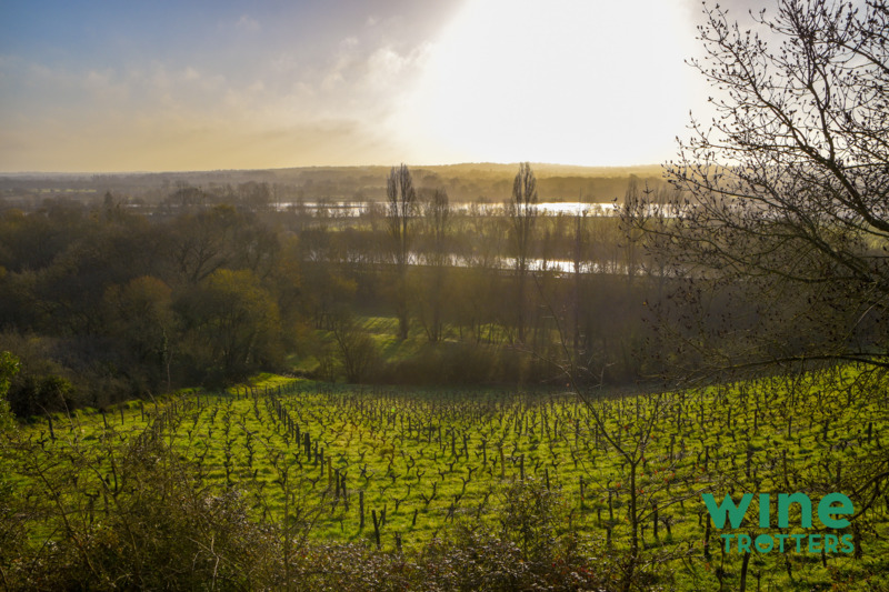 wine-TROTTERS_private-wine-tour_Loire-Valley_13-logo