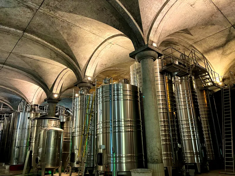 Cuves pour stocker le vin