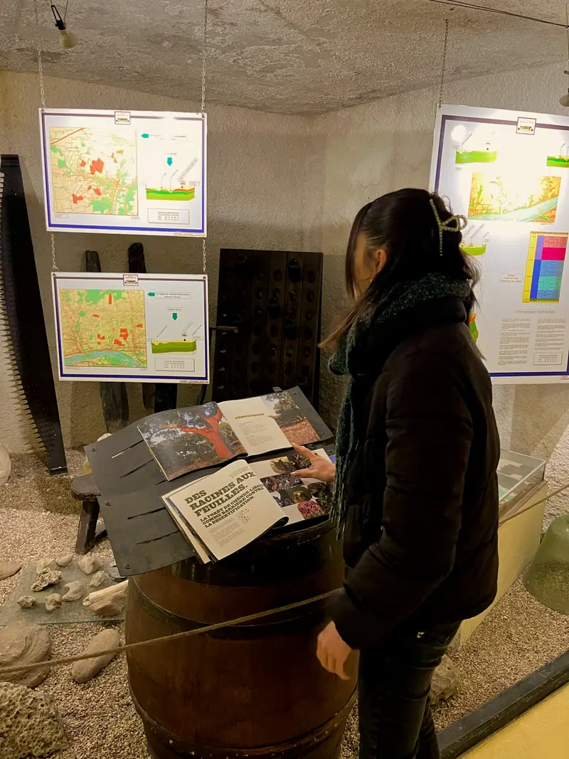 Découverte du musée de la vigne et du vin