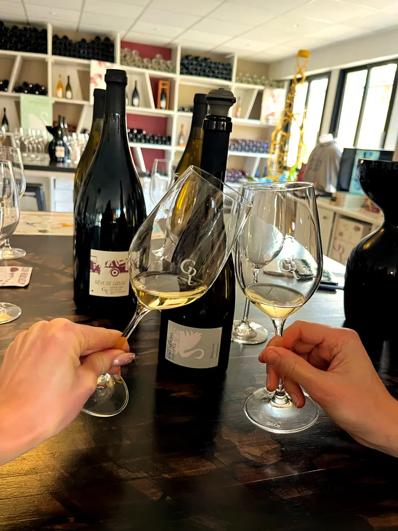 Dégustation de vins en Touraine