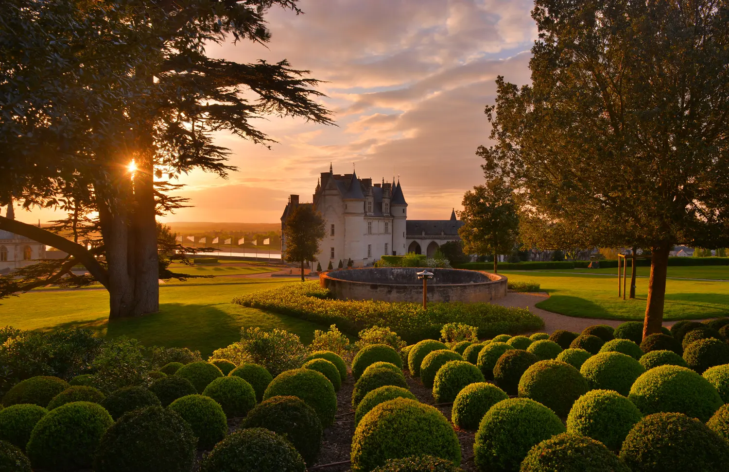 Jardin Château royal d'Amboise