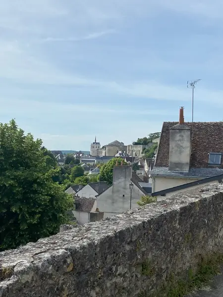 Balade en Segway à Amboise, Freemove spécialisé dans les visites guidées en Segway